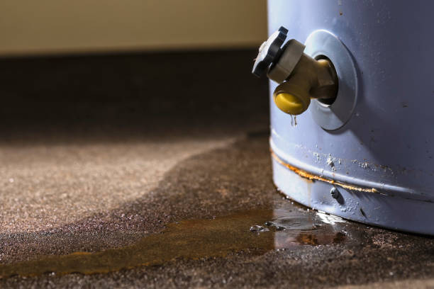 Best Water damage restoration near me  in Riverse, ID