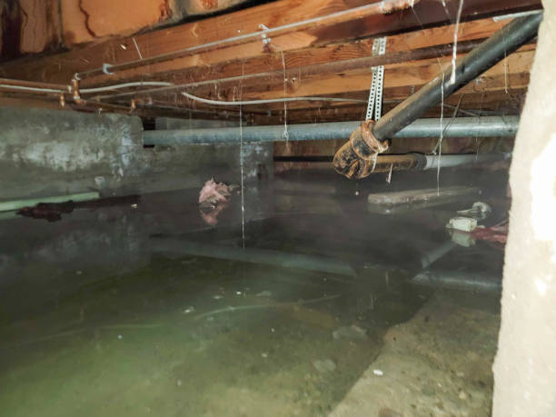 Local water damage restoration in ID