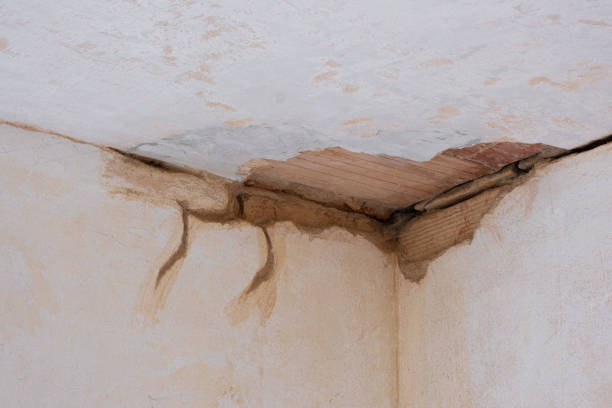Best Mold removal after water damage  in Riverse, ID