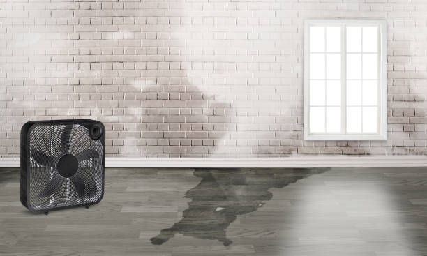 Best Emergency water damage restoration  in Riverse, ID