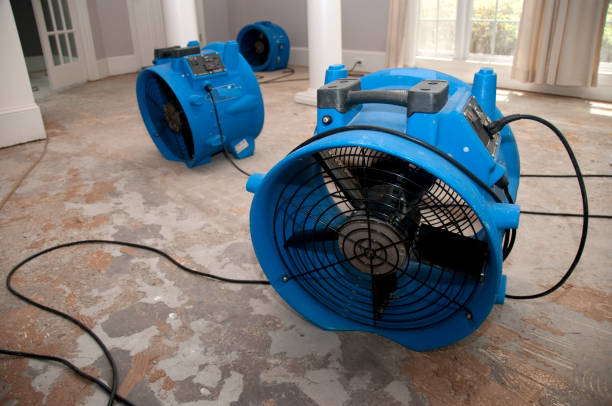 Best Flood restoration services  in Riverse, ID