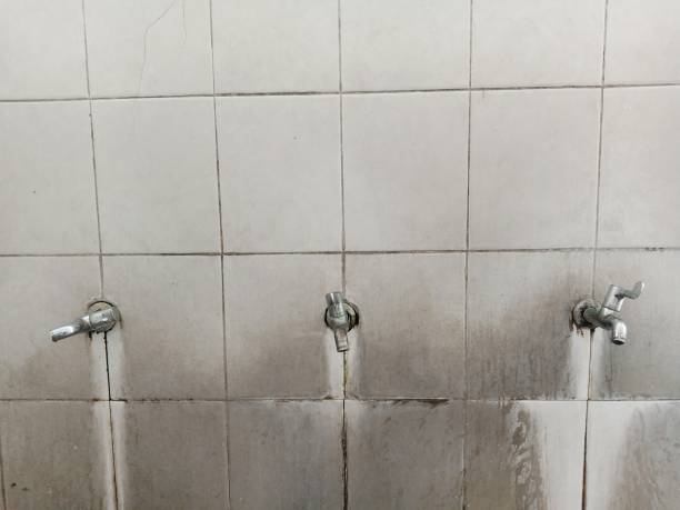 Best Professional water damage repair  in Riverse, ID
