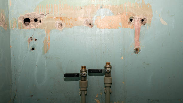 Best Local water damage restoration  in Riverse, ID