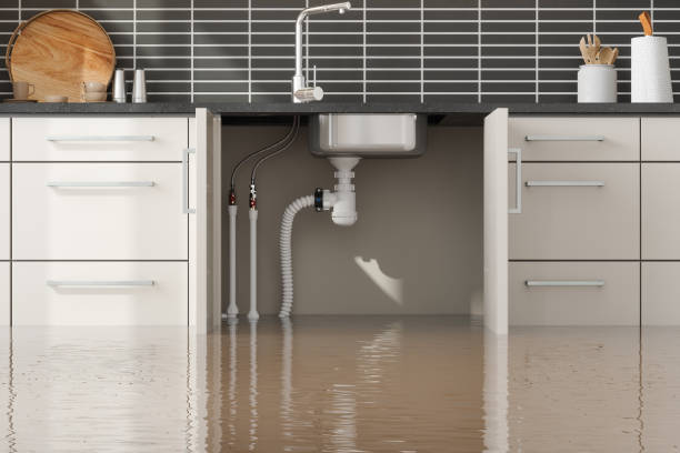 Best Carpet water damage restoration  in Riverse, ID