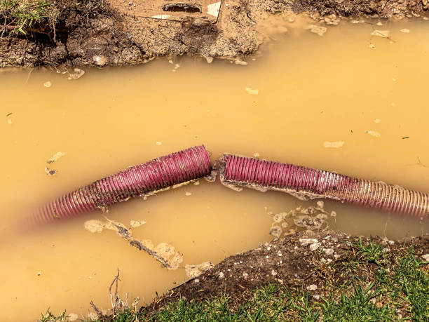 Best Water damage restoration mold remediation  in Riverse, ID