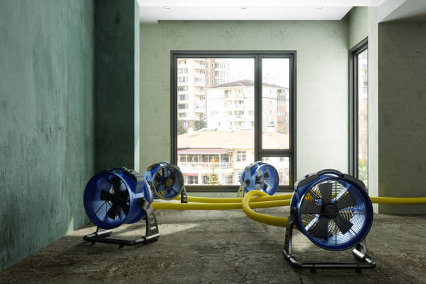 Best Fire Damage Restoration  in Riverse, ID