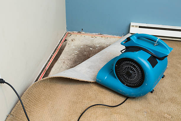Best Basement water damage restoration  in Riverse, ID